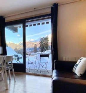 La marmotte: Vue Mont Blanc, terrasse, parking